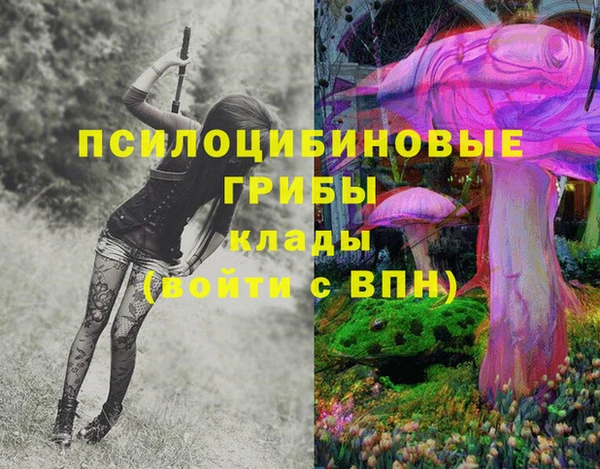 стаф Абдулино